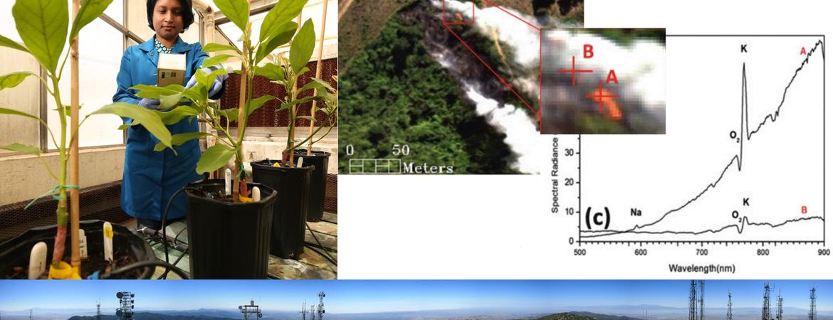 A collage of images from research done by Calit2 researchers